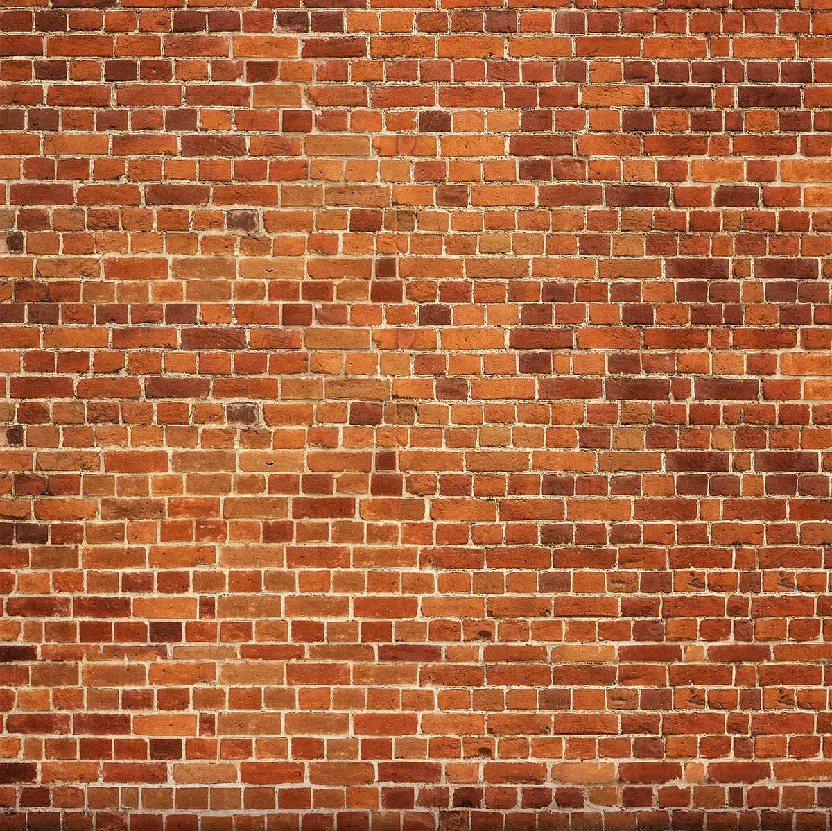 Kate Vintage Orange Brick Backdrop for Photography
