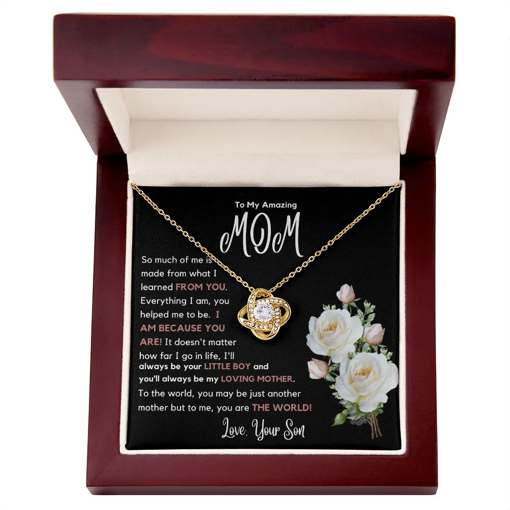 To My Amazing Mom So Much Of Me Is Made From You
