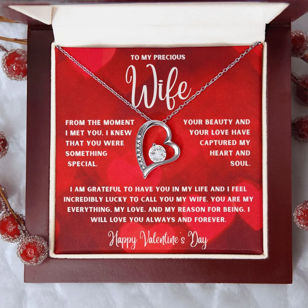 To My Precious Wife From The Moment I Met You Valentine's Day