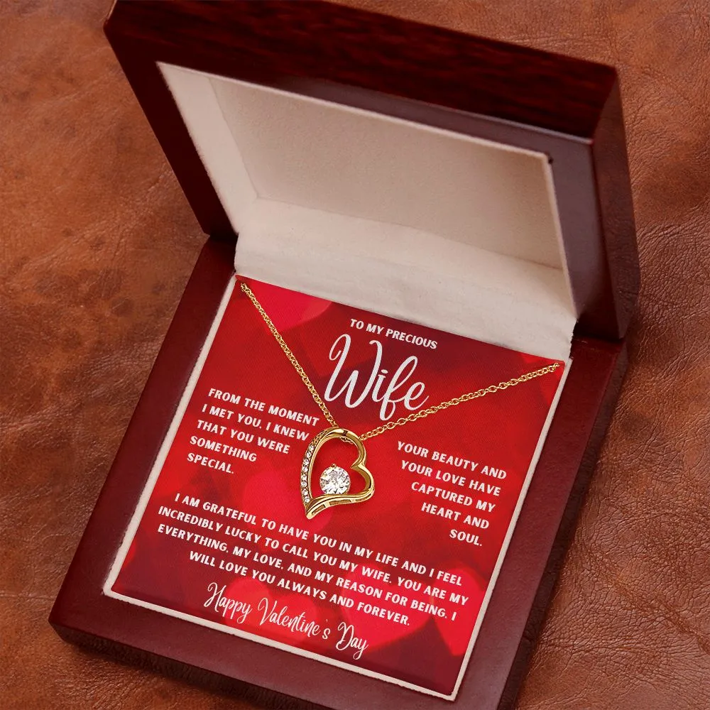 To My Precious Wife From The Moment I Met You Valentine's Day