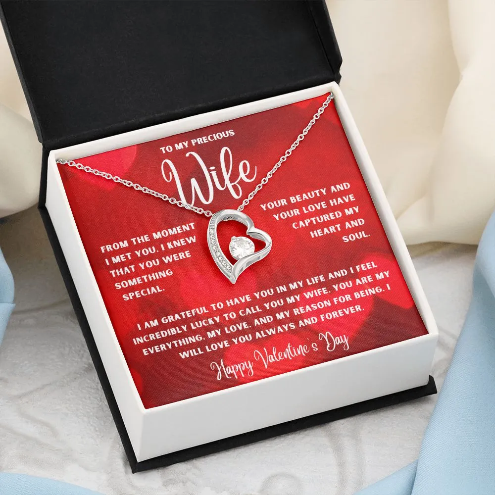 To My Precious Wife From The Moment I Met You Valentine's Day