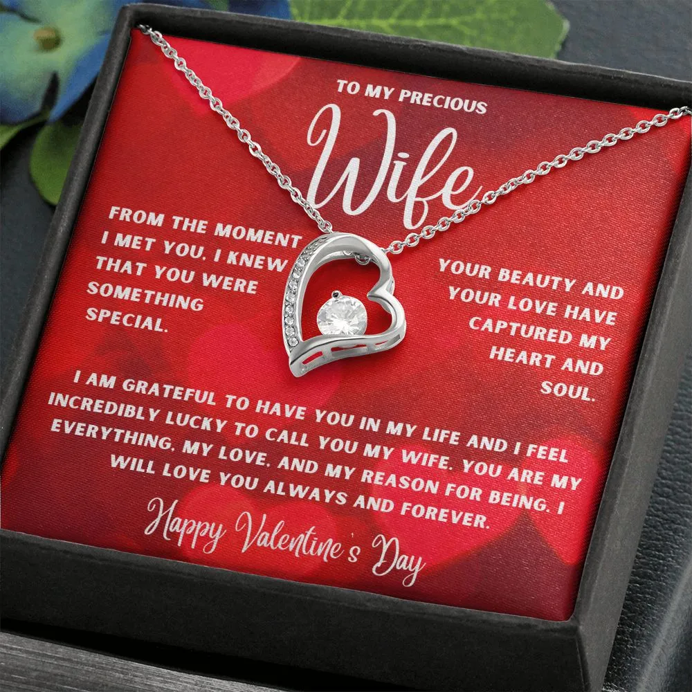 To My Precious Wife From The Moment I Met You Valentine's Day